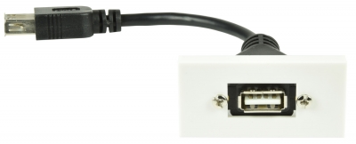 AV:Link Wall Plate Module USB 2.0 122.530UK