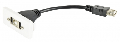 AV:Link Wall Plate Module USB-B 2.0 122.535UK