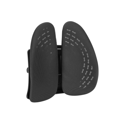 Lumivida Ergonomic Lumbar Support Cushion Ergonomic with Breathable Mesh Cover RLC03-1