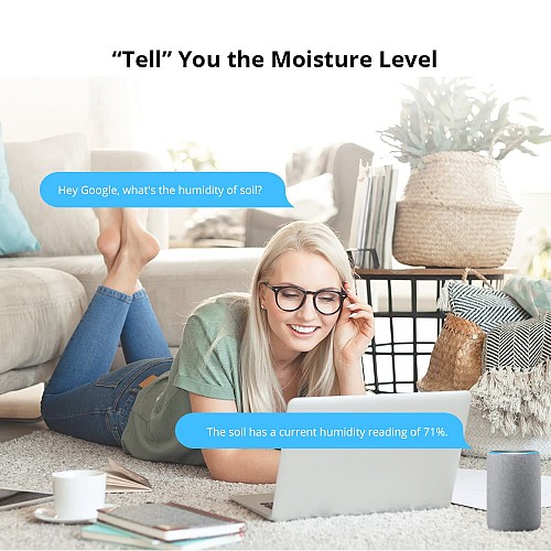 Sonoff Smart Sensor Soil Moisture MS01(RJ9)