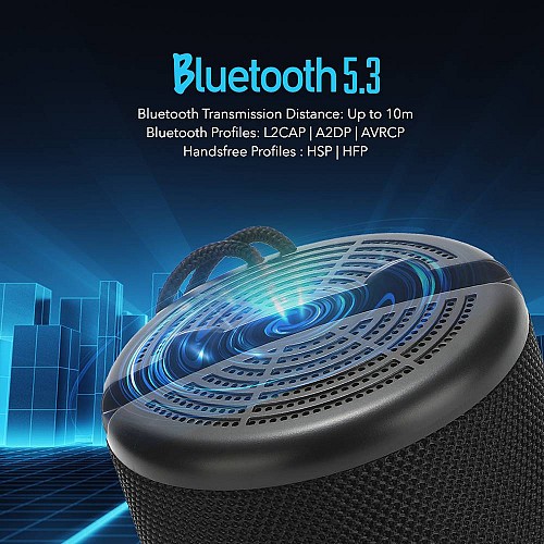 SonicGear AudioBox 2GO-Dock100 Portable BT/FM Speaker with Dock Black