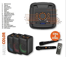 N-Gear FLASH BANGER 777 Portable Karaoke Speaker With Two Microphones