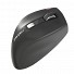 Natec JAGUAR Wireless Ergonomic Mouse with Blue Sense & Auto Speed (works on all surfaces)