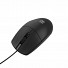 Natec RUFF 2 Wired Optical Mouse 1000dpi