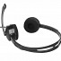 Natec Headset with Microphone 3.5mm CANARY GO