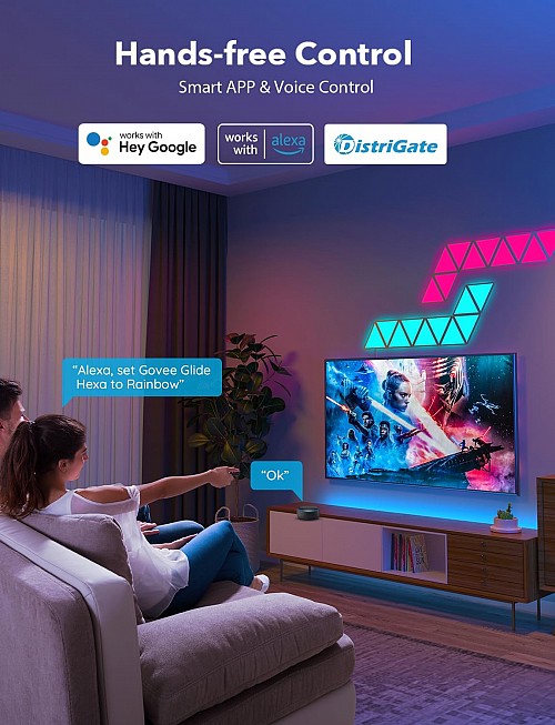 Govee Gaming Wall Glide Triangle Light Panels 10pack B6067