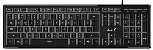 Genius Keyboard Wired Illuminated SlimStar 820 AI English