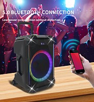 N-Gear FLASH1040 10 Portable Karaoke Speaker with 1x Wireless Mic LED Lights USB & BT