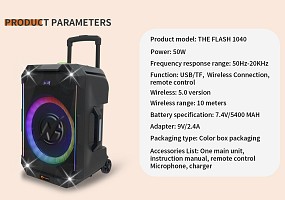 N-Gear FLASH1040 10 Portable Karaoke Speaker with 1x Wireless Mic LED Lights USB & BT