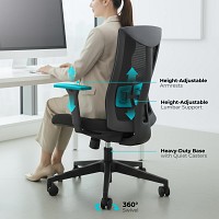 Lumivida Office Chair Ergonomic Mesh Lumbar Support Adjustable Seat/Armrest Black CH05-7