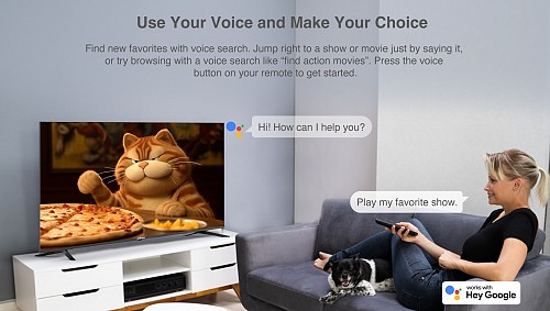 Dahua LTV43-SG200 43 Full HD Google TV with HDR10, Dolby Digital Plus & Voice Control Remote