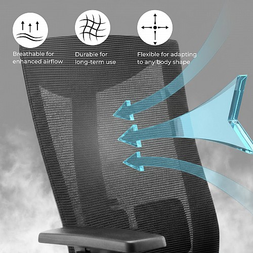 Lumivida Office Chair Ergonomic Mesh Lumbar Support Adjustable Seat/Armrest Black CH05-7