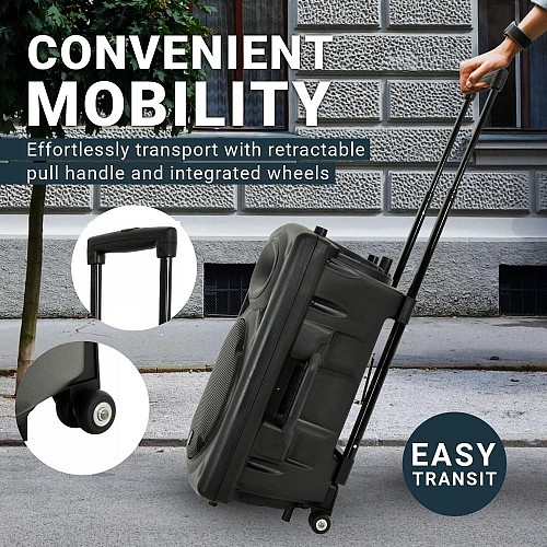 QTX QR12PA 12 Professional Portable Karaoke & PA Speaker with 2x Wireless Microphones, Bluetooth USB & FM 178.847UK