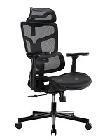 Lumivida Office Chair Ergonomic Mesh Lumbar Support Adjustable Seat/Armrest Black CH10-10