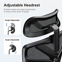 Lumivida Office Chair Ergonomic Mesh Lumbar Support Adjustable Seat/Armrest Black CH10-10