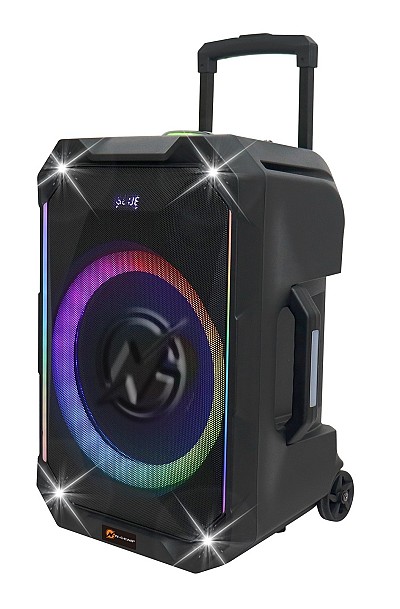 N-Gear FLASH1040 10 Portable Karaoke Speaker with 1x Wireless Mic LED Lights USB & BT