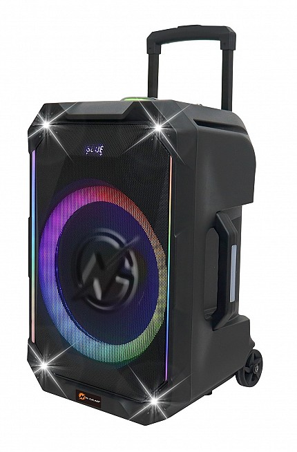 N-Gear FLASH1040 10 Portable Karaoke Speaker with 1x Wireless Mic LED Lights USB & BT