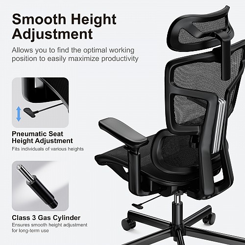 Lumivida Office Chair Ergonomic Mesh Lumbar Support Adjustable Seat/Armrest Black CH10-10