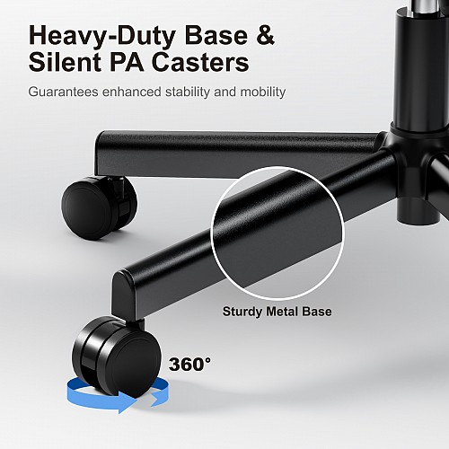 Lumivida Office Chair Ergonomic Mesh Lumbar Support Adjustable Seat/Armrest Black CH10-10