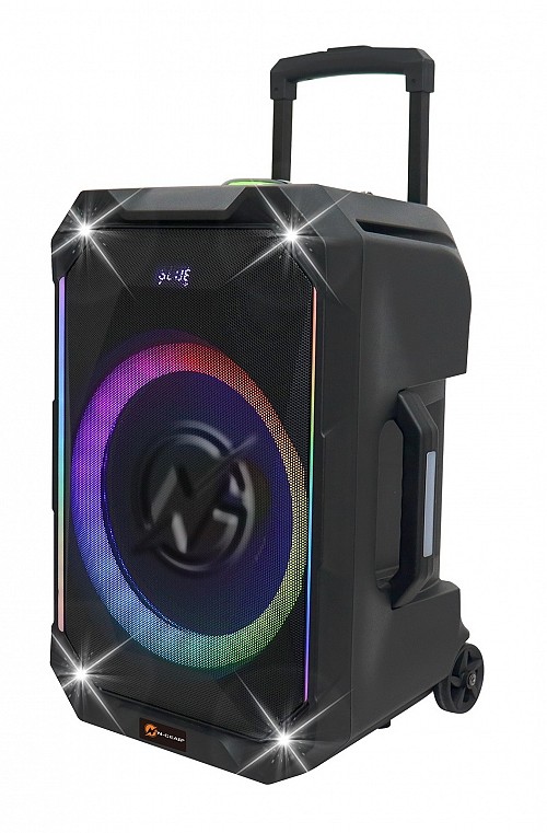 N-Gear FLASH1040 10 Portable Karaoke Speaker with 1x Wireless Mic LED Lights USB & BT