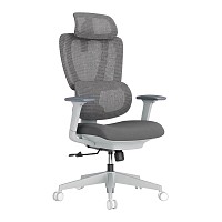 Lumivida Office Chair Ergonomic Mesh Lumbar Support Adjustable Seat/Armrest CH10-26 Grey