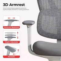 Lumivida Office Chair Ergonomic Mesh Lumbar Support Adjustable Seat/Armrest CH10-26 Grey
