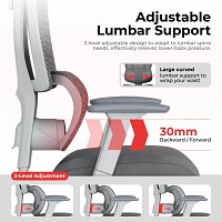 Lumivida Office Chair Ergonomic Mesh Lumbar Support Adjustable Seat/Armrest CH10-26 Grey