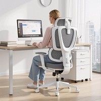Lumivida Office Chair Ergonomic Mesh Lumbar Support Adjustable Seat/Armrest CH10-26 Grey
