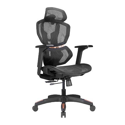 Lumivida Gaming/Office Chair Ergonomic Mesh Lumbar Support Adjustable Seat/Armrest CH09-8 Black