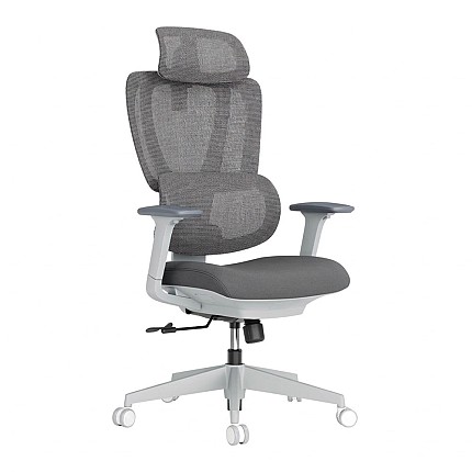 Lumivida Office Chair Ergonomic Mesh Lumbar Support Adjustable Seat/Armrest CH10-26 Grey