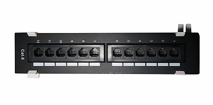 DigitMX NETPRO NP-CPP12C6W 12 Port CAT6 Wall Patch Panel